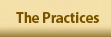    The Practices   