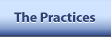    The Practices   