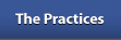    The Practices   