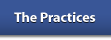    The Practices   
