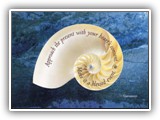 2001 Message Artwork