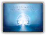 2008 Message Artwork
