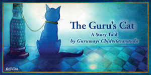 Guru's Cat