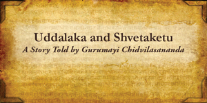 Uddalaka and Shvetaketu