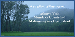 Excerpts from Three Poems