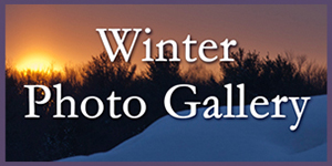 Winter Photo Gallery