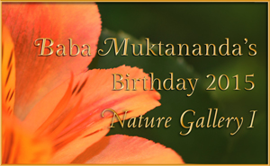 Baba Muktananda Birthday Nature Gallery, 2015