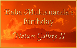 Baba Muktananda Birthday-Nature-Gallery2 2015