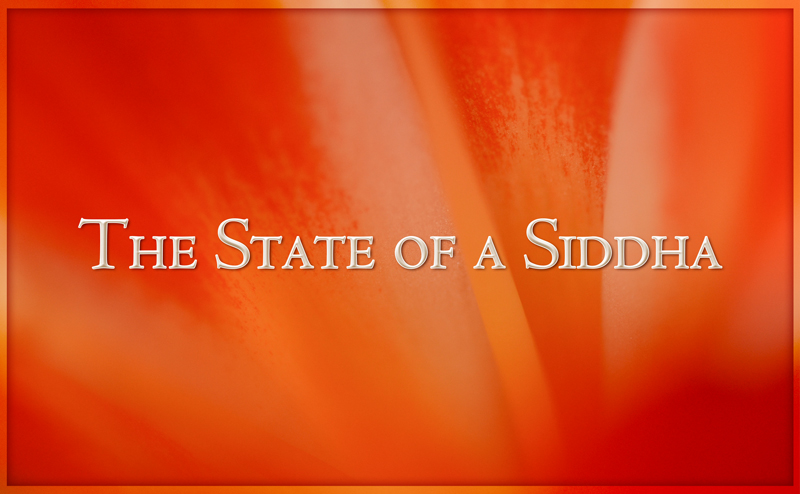 The State of a Siddha