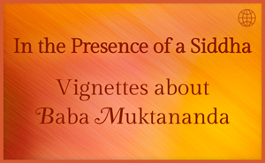 In the Presence of a Siddha - Vignettes about Baba Muktananda