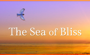 The Sea of Bliss