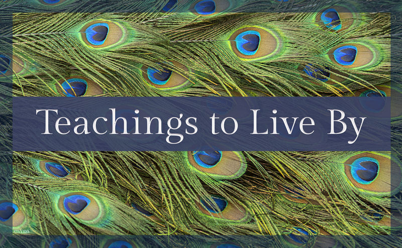 Teachings to Live By - Swami Muktananda