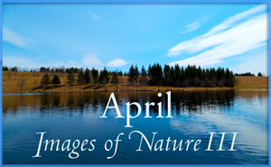 Images of Nature III