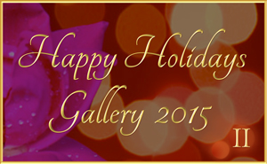 Happy Holidays Gallery2, 2015