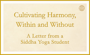 Cultivating Harmondy, Within and Without