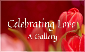 Love - A Gallery