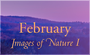 February Images of Nature