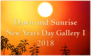 December Sunrise Gallery I