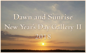 December Sunrise Gallery II