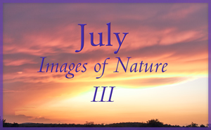 Images of Nature III