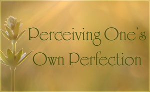 Perceiving One's Perfection