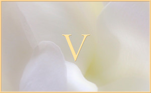 Verse V from Yoga Vasistha