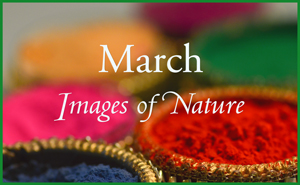 March Nature Gallery