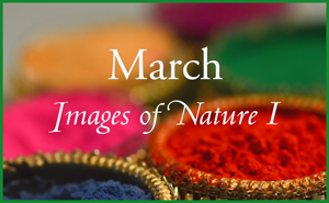 March Nature Gallery I