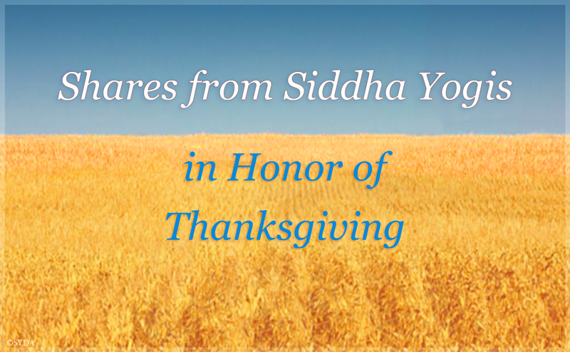 Shares by Siddha Yogis in Honor of the Month of Thanksgiving