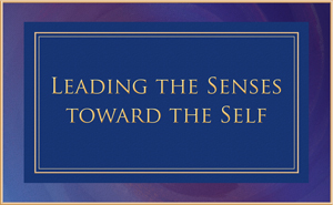 Leading the Senses towards the Self