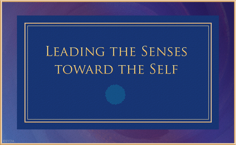 Leading the Senses toward the Self