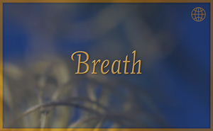 Assimilating Gurumayi's Message for 2016 - Breath