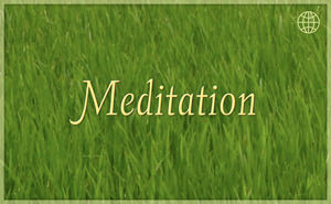 Assimilating Gurumayi's Message for 2016 - Meditation