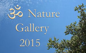 AUM Nature Gallery 2015