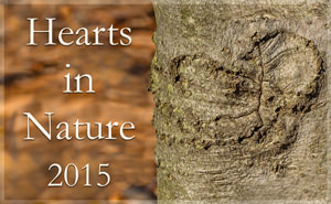 Hearts in Nature 2015