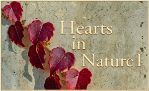 Hearts in Nature I