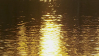 Golden Lake