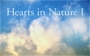 2017 Hearts in Nature 1
