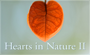 2017 Hearts in Nature 2