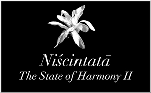 2017 Niscintata Gallery 2