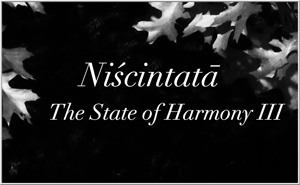 2017 Niscintata Gallery 3