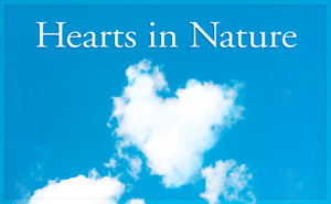 Hearts in Nature