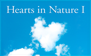 2018 Hearts In Nature Gallery 1