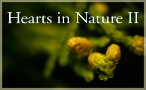2018 Hearts In Nature Gallery 2