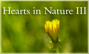 2018 Hearts In Nature Gallery 3