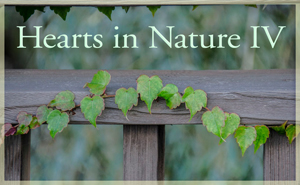 2018 Hearts In Nature Gallery 4