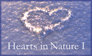 2019 Hearts In Nature Gallery I