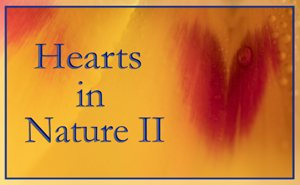 2019 Hearts In Nature II