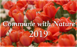 Commune with Nature 2019