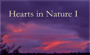 2020 Hearts In Nature Gallery I